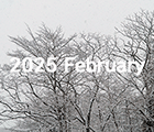 2025年2月